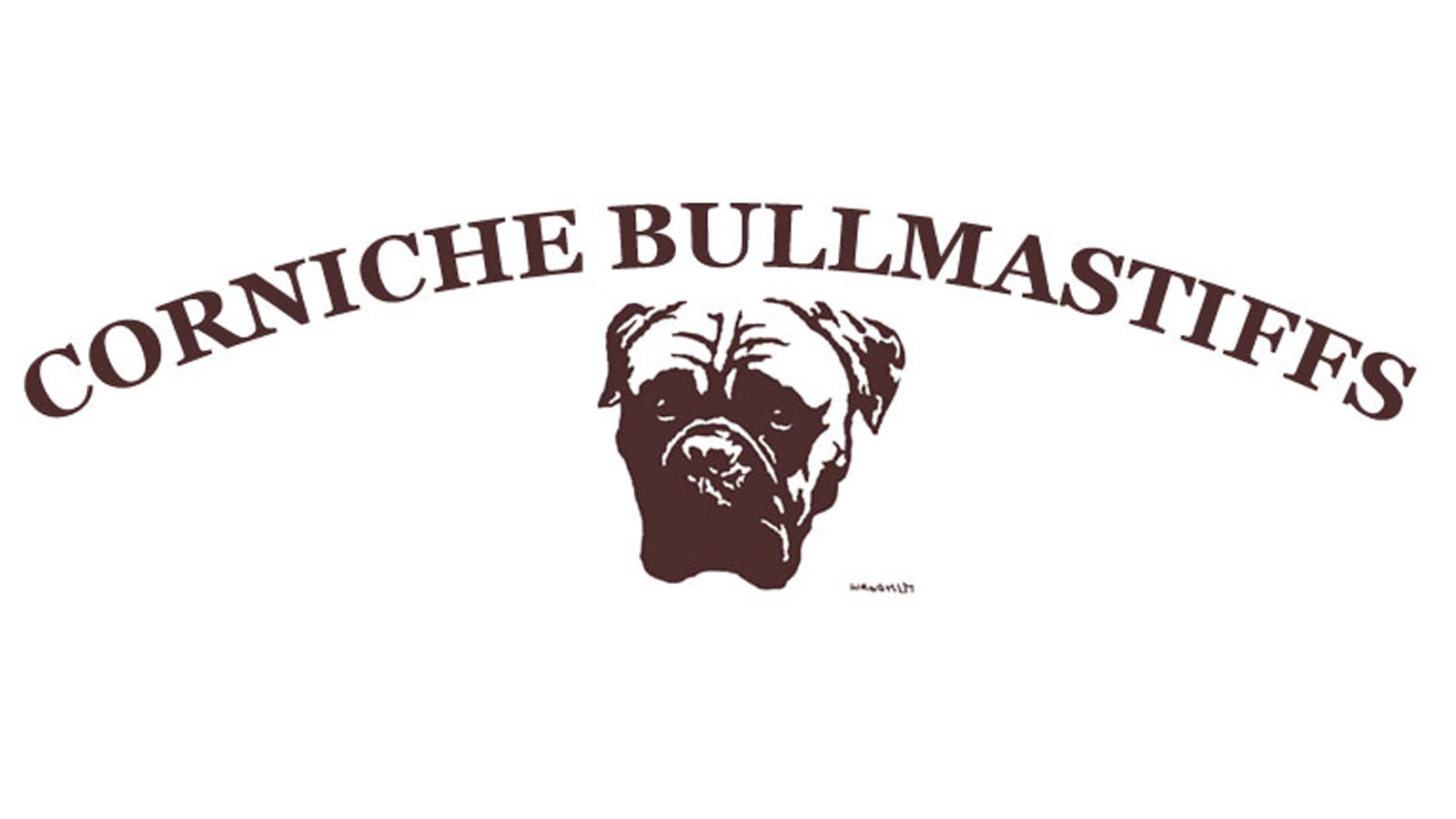 ブルマスティフ ブリーダー CORNICHE BULLMASTIFFS - CORNICHE BULLMASTIFFS